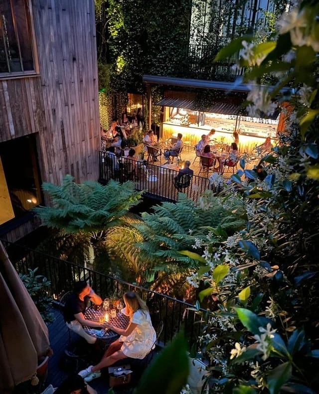 The Mandrake Terrace - image