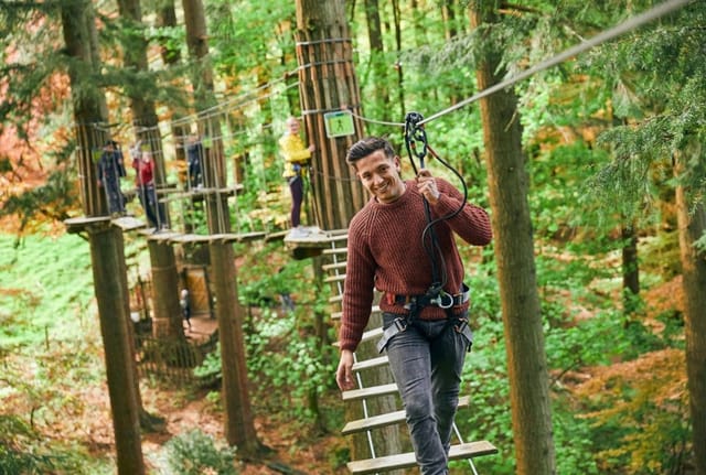 Treetop Challenge Xpress - image