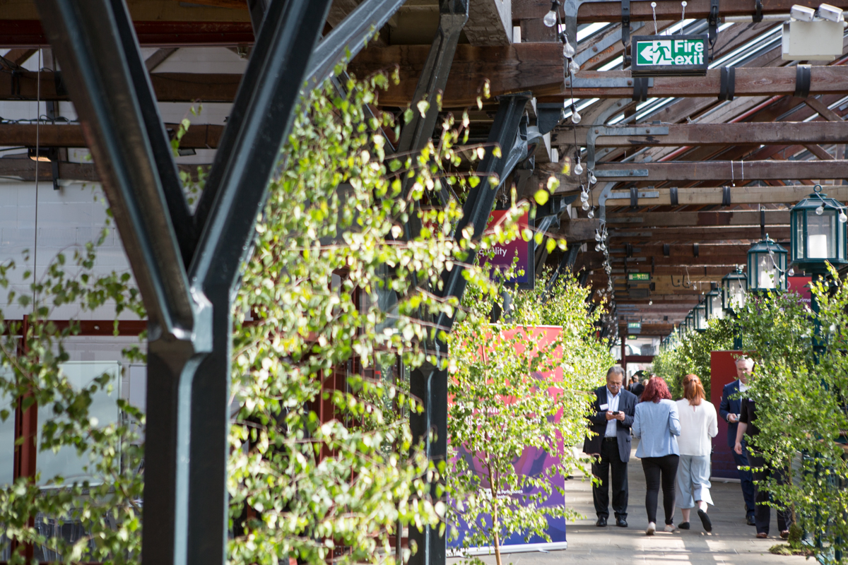 East Mall - w4de5wmcyui.jpg