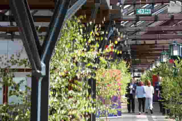 Tobacco Dock