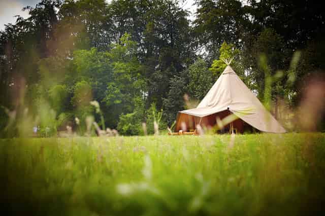 Forest Tepee