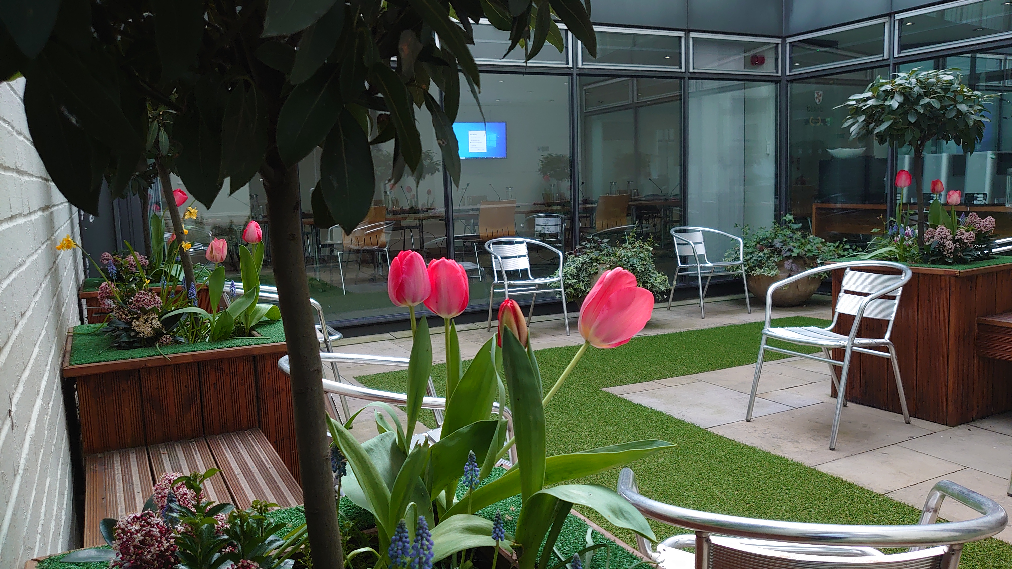 Old Library Room - m4sl4kaxhlx.JPG