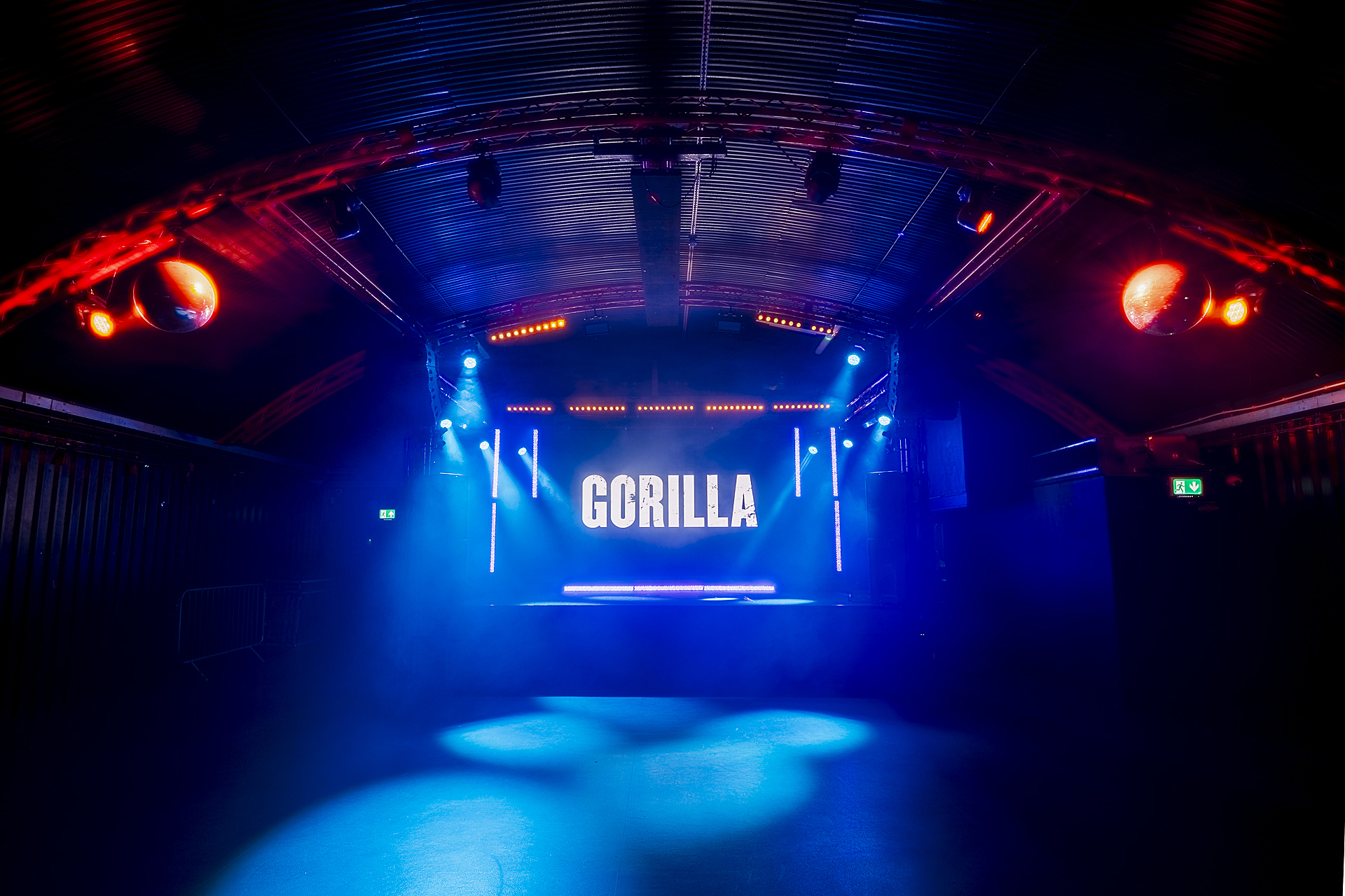 Gorilla - image 3