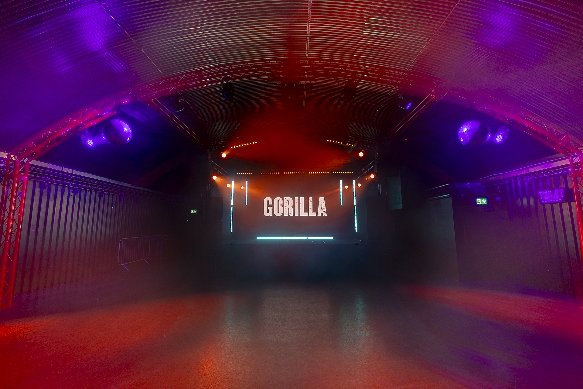 Gorilla - image 1