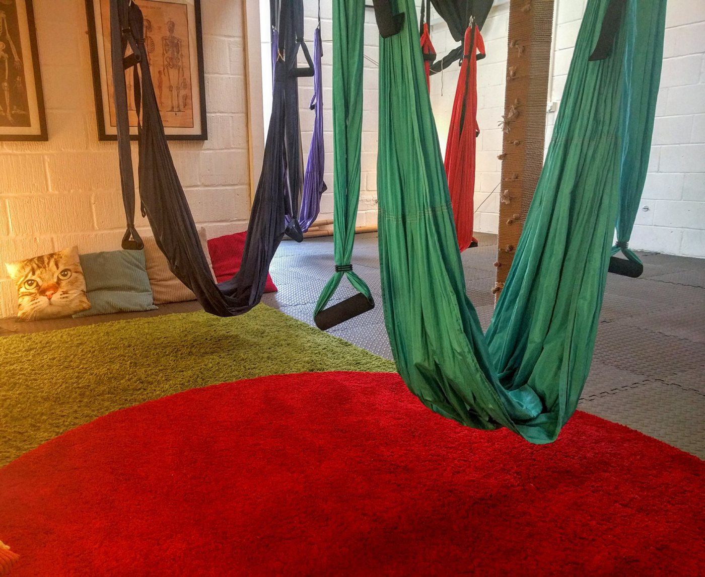 Colorful hammocks in a cozy meeting space for creative workshops and team-building events.