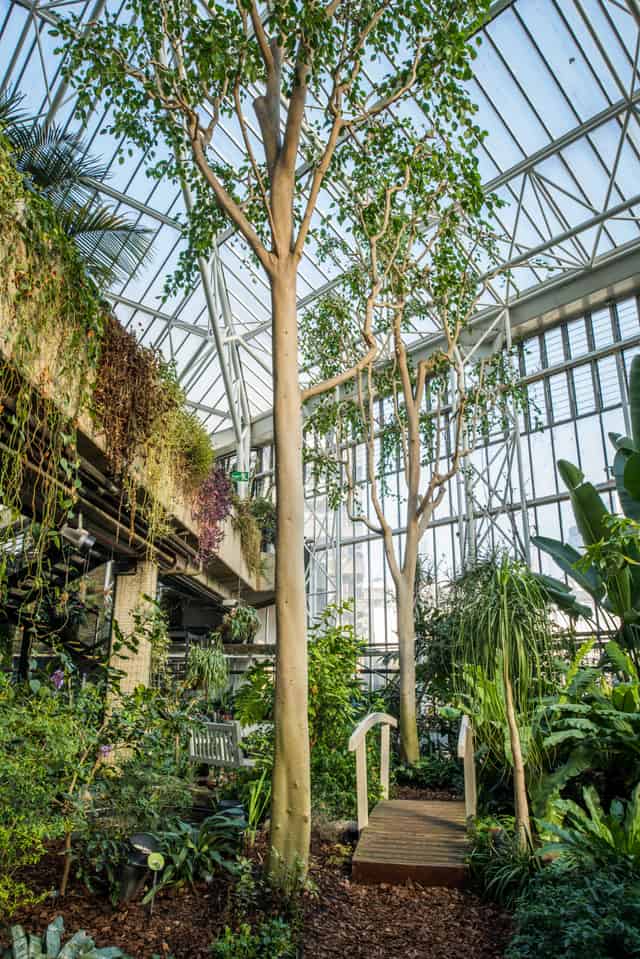 The Conservatory