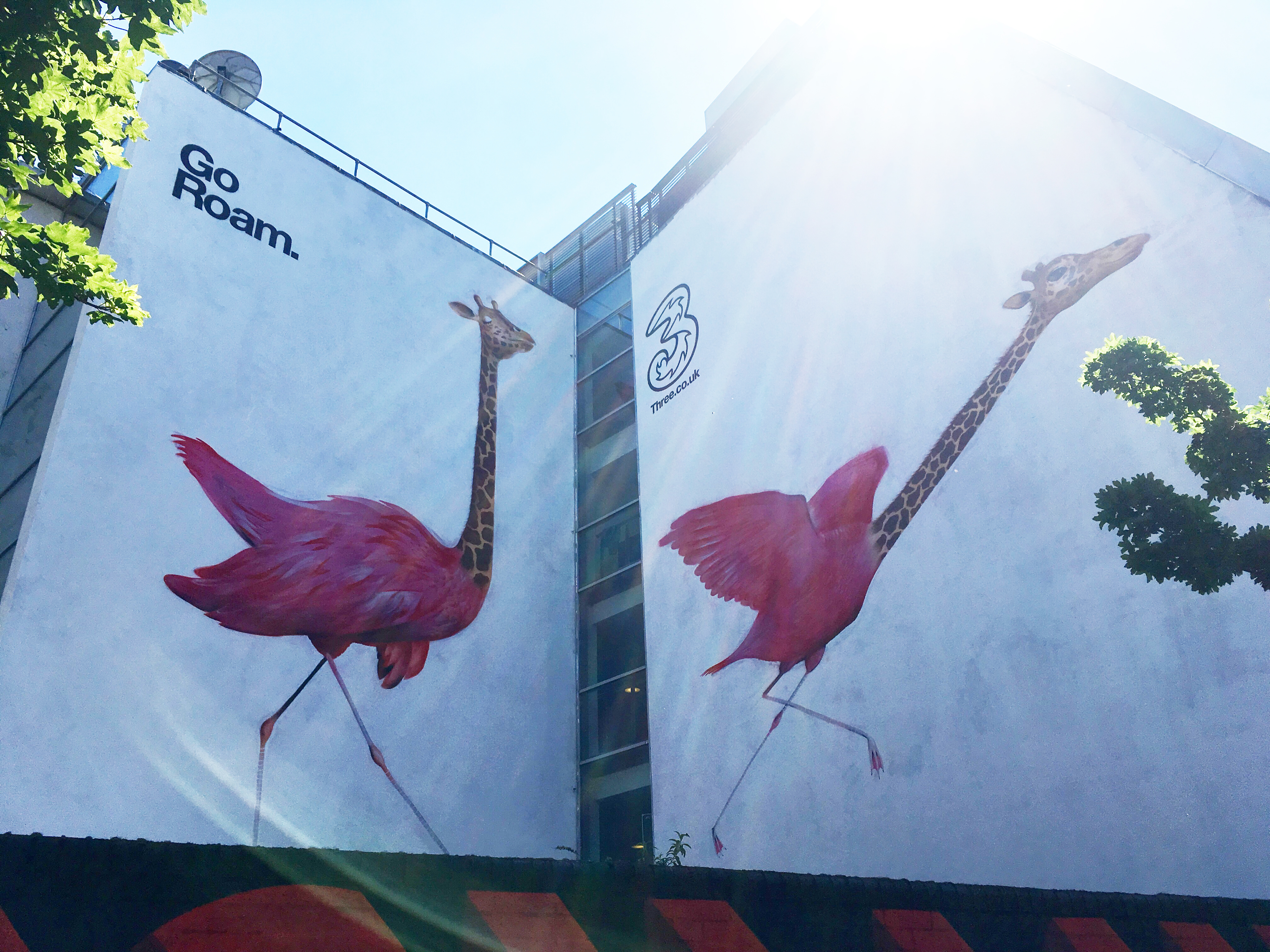 External Advertising - 14ayzsp0yty.jpg