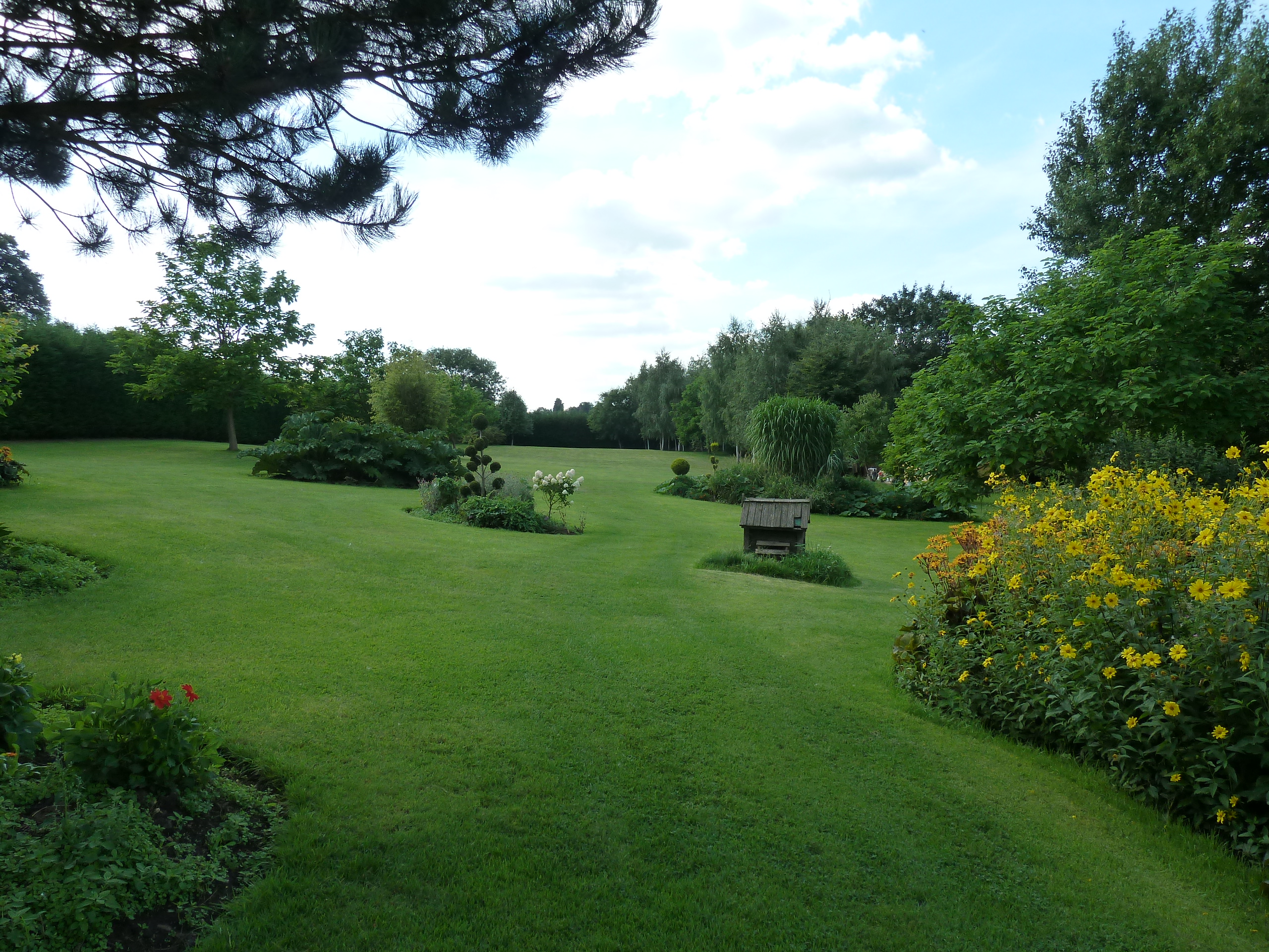 Elysion Cinemas garden with lush greenery, perfect for weddings and corporate events.