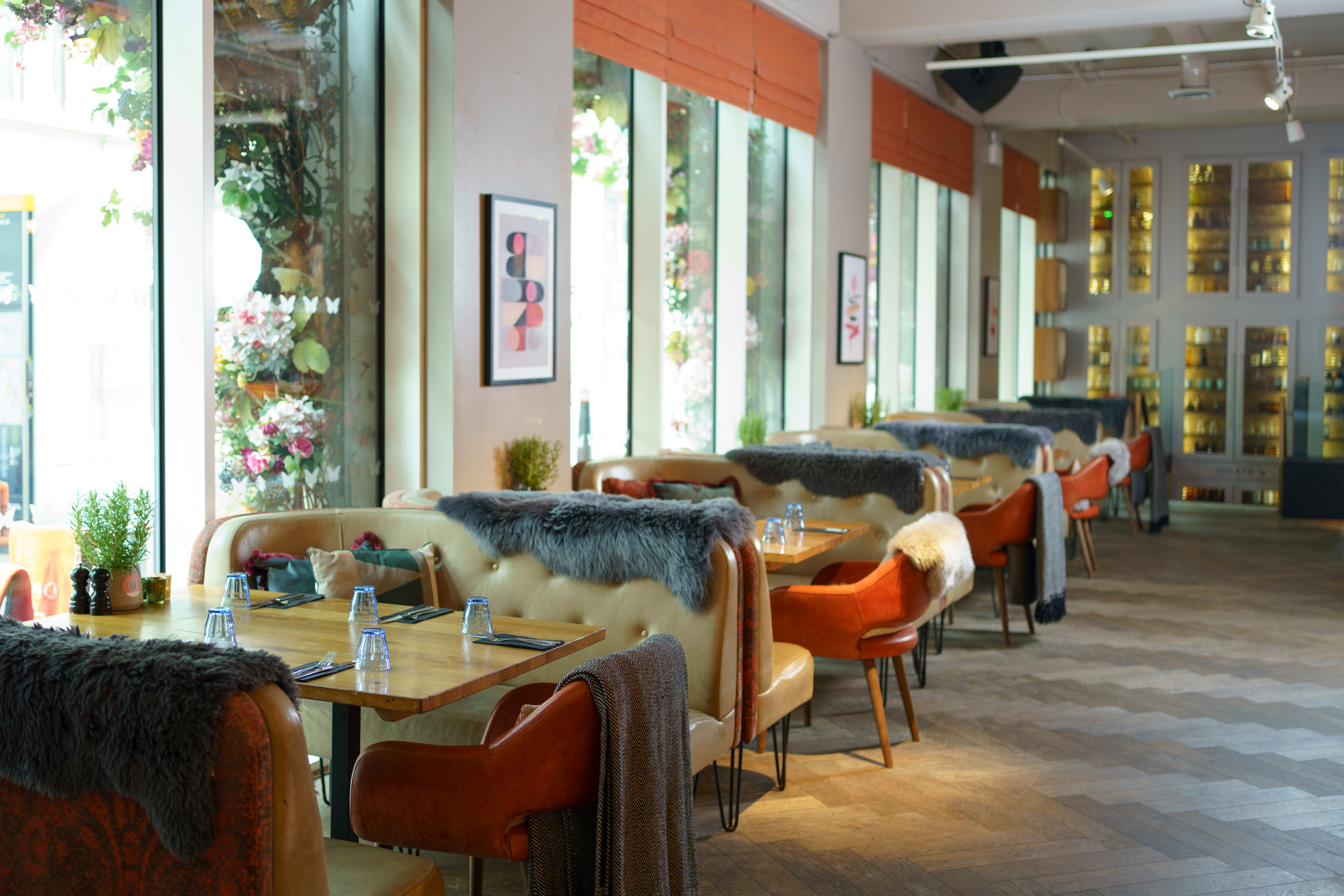The Anthologist - image 2
