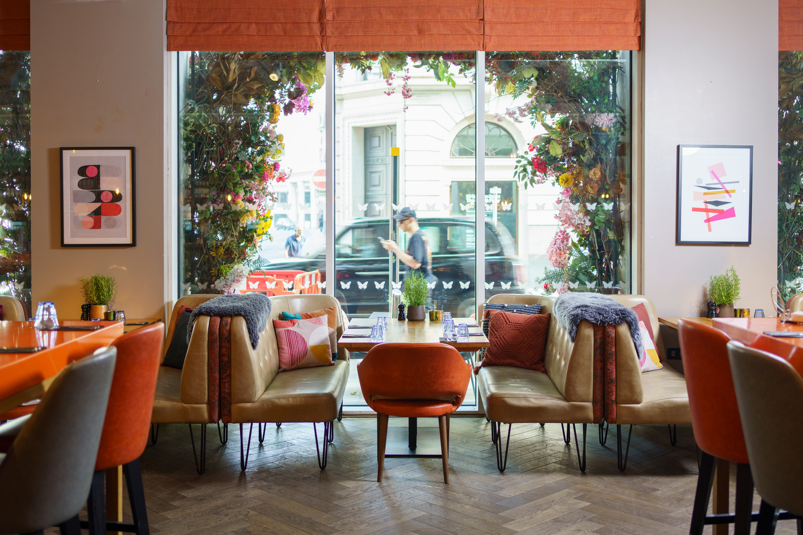 The Anthologist - image 1