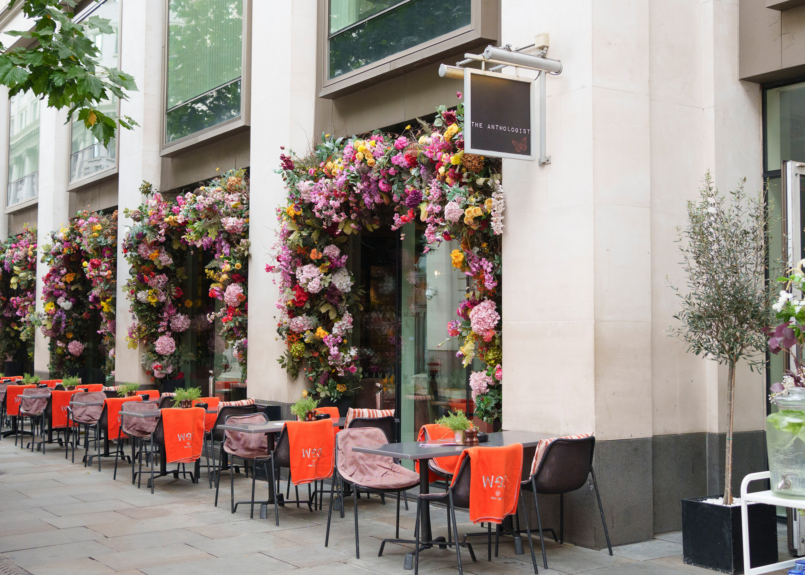 The Anthologist - image 9
