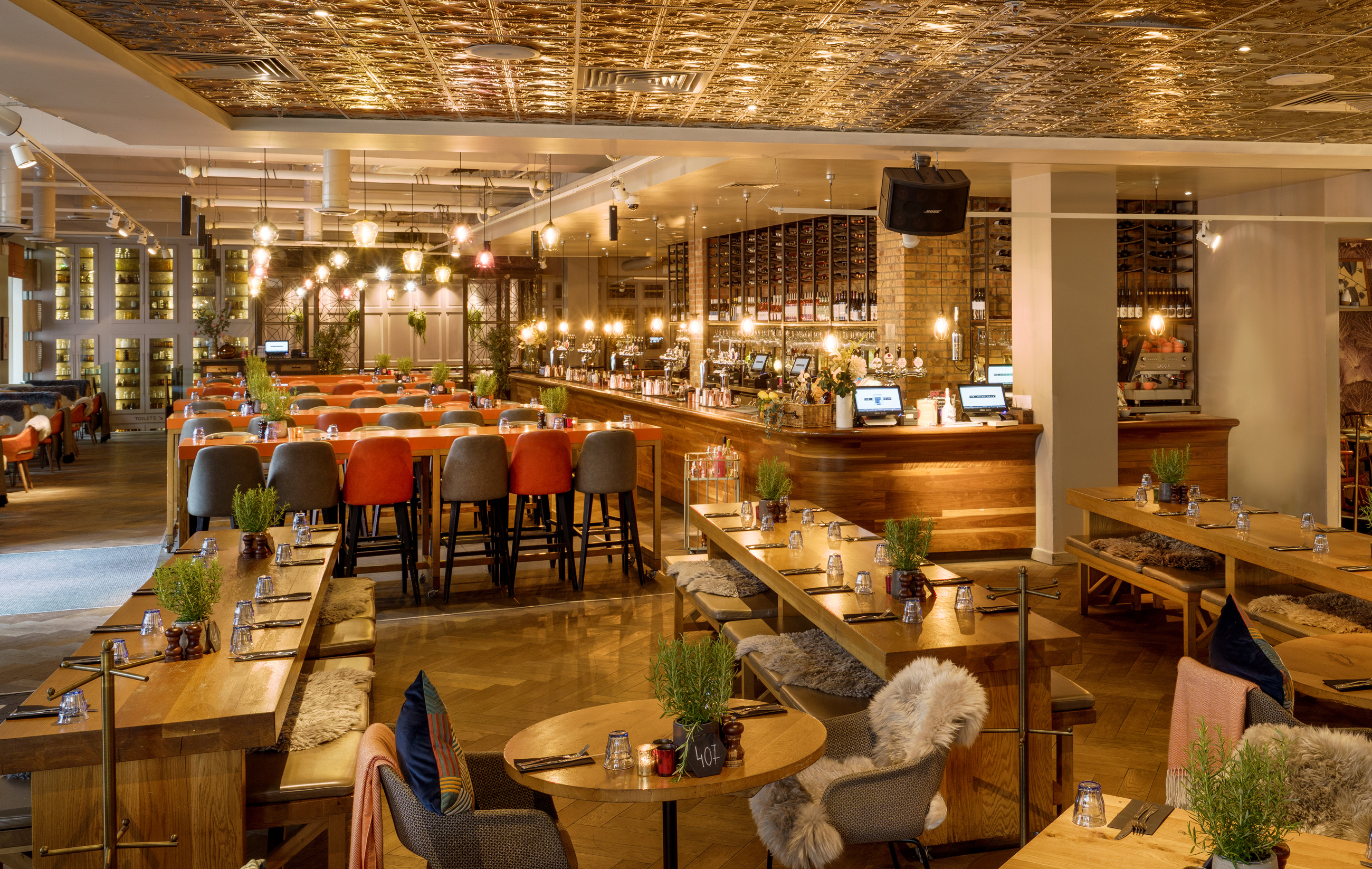 The Anthologist - image 3