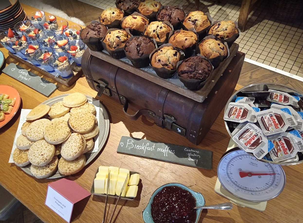 The Anthologist - image 9