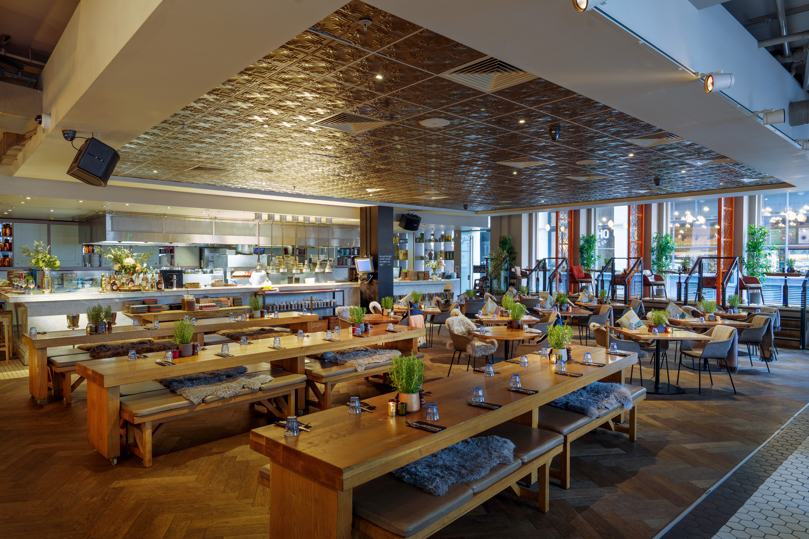 The Anthologist - image 1