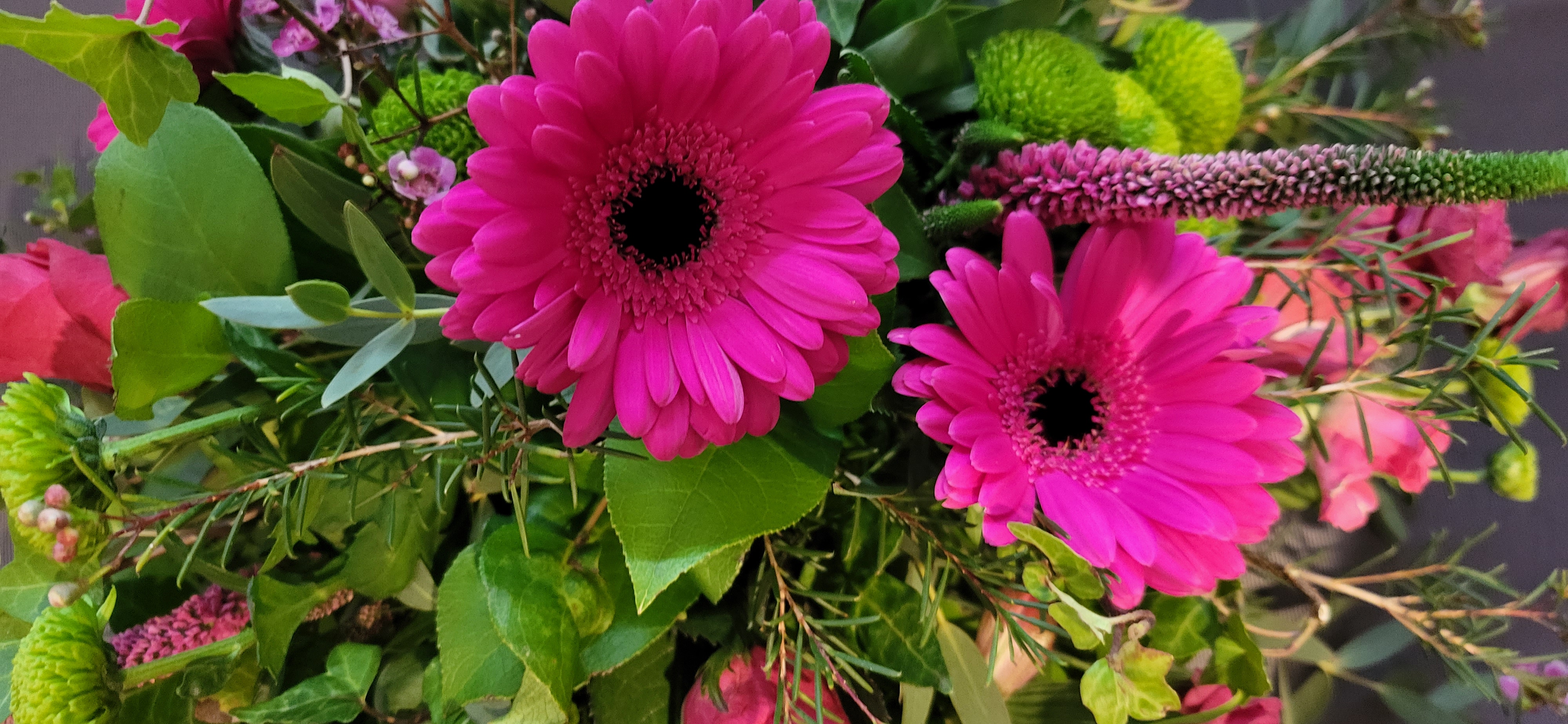 Vibrant pink gerbera daisies in Terrace Gallery, perfect for event centerpieces.
