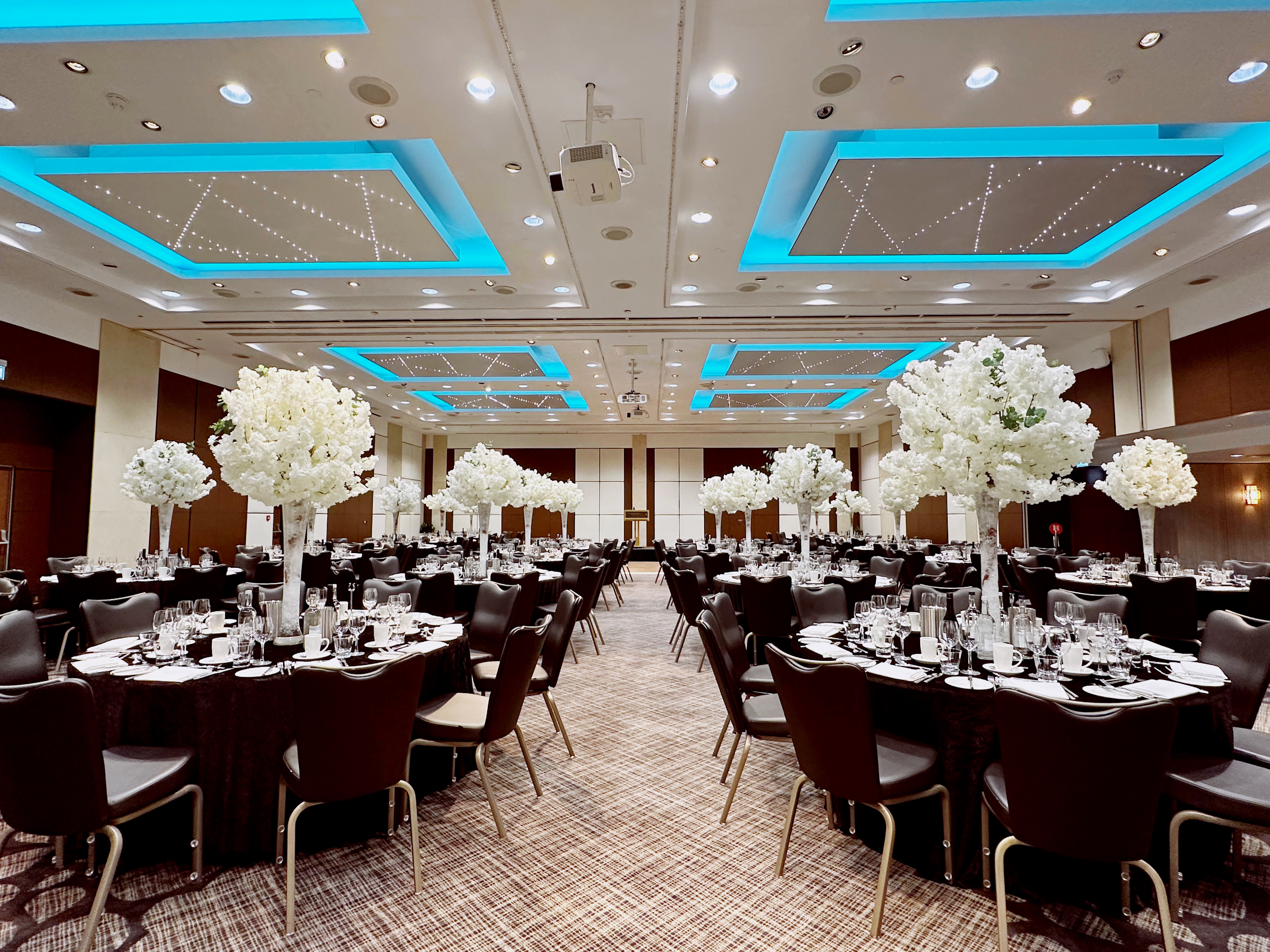 Nobel Suite - aa3yjrj1dlj.jpg