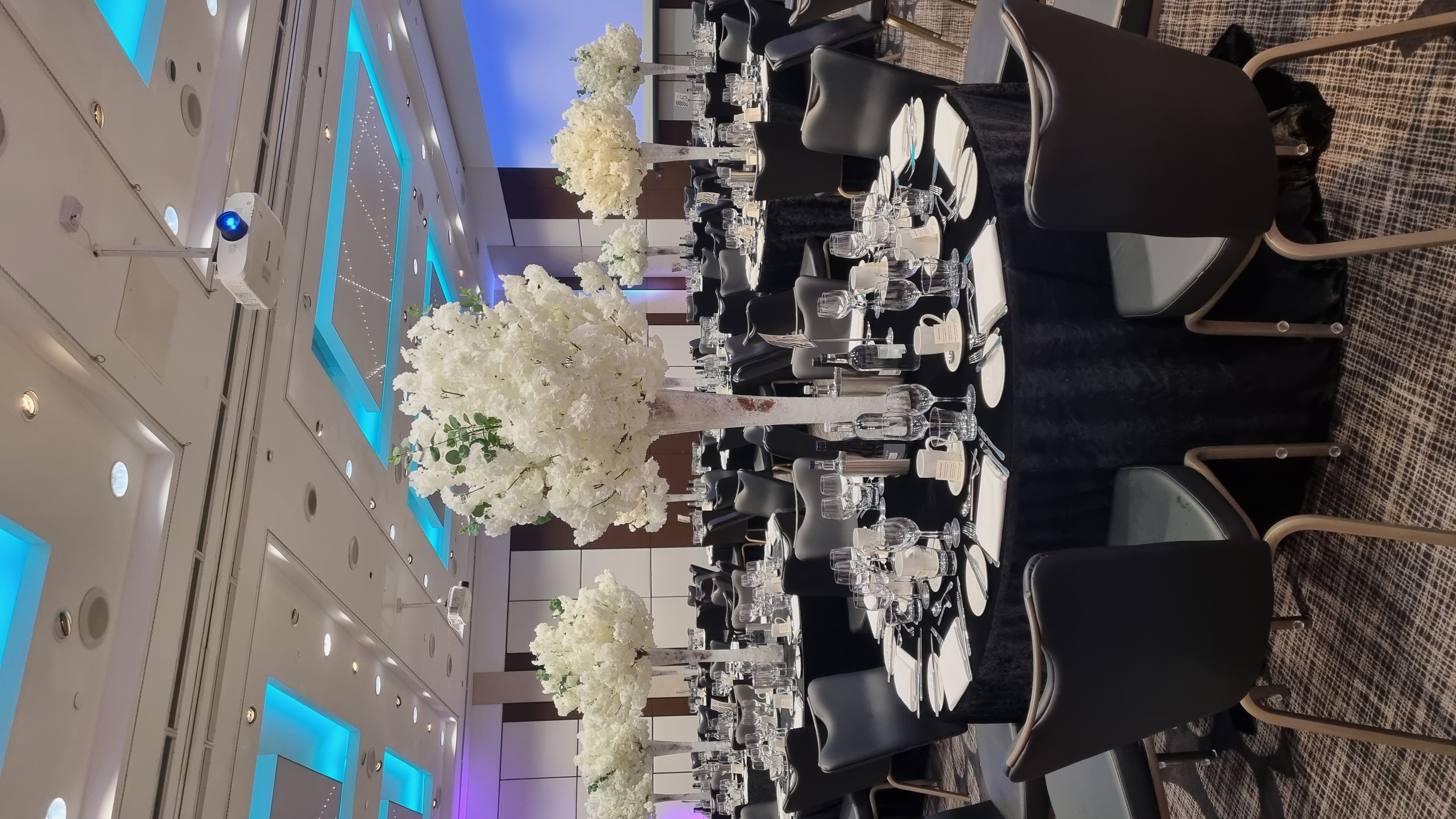 Nobel Suite - lplljgshms5.jpg