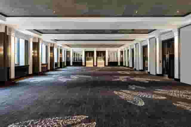 Halle Suite