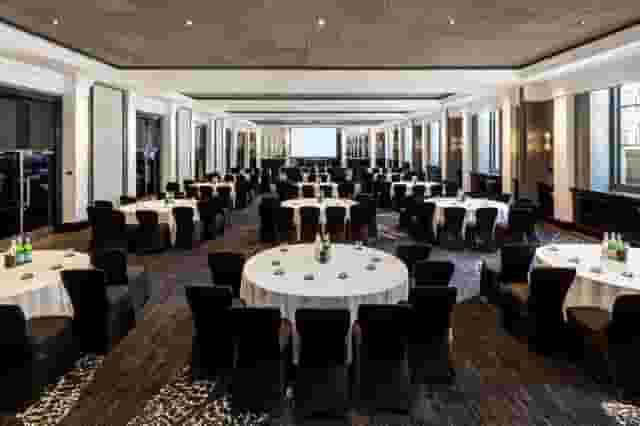 Halle Suite