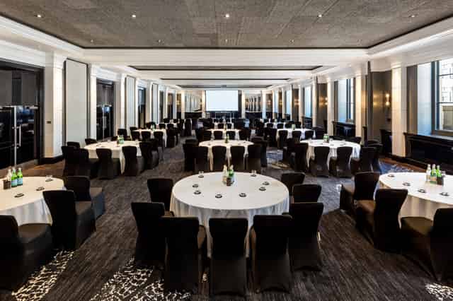 Halle Suite