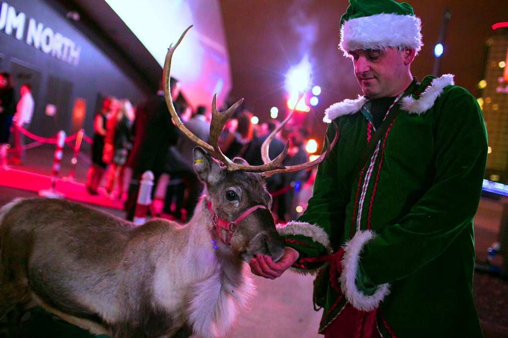 Festive reindeer at Imperial War Museum North holiday event, enhancing guest experience.