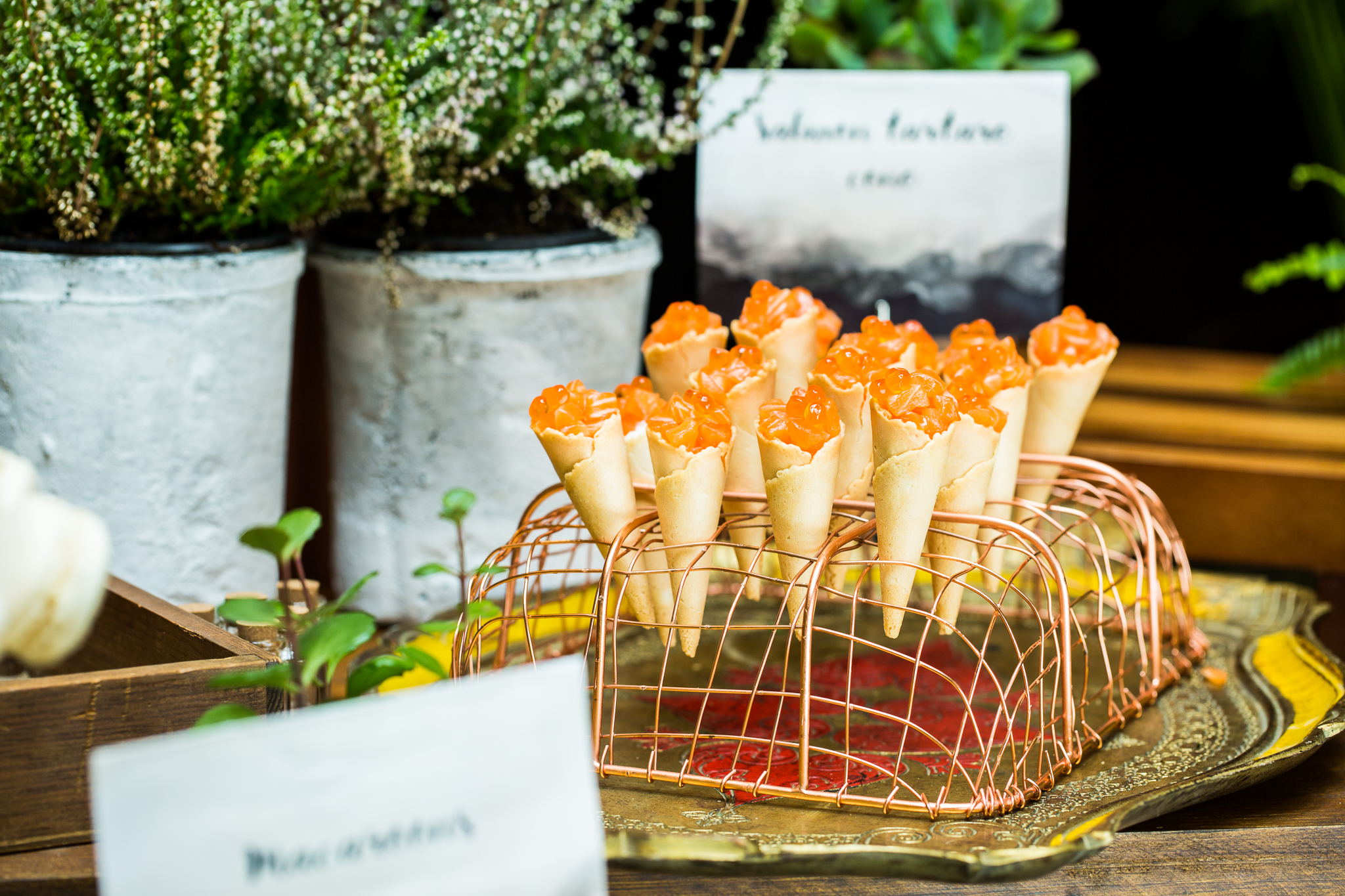 Bethnal Hall  - wazccjikggv.jpg