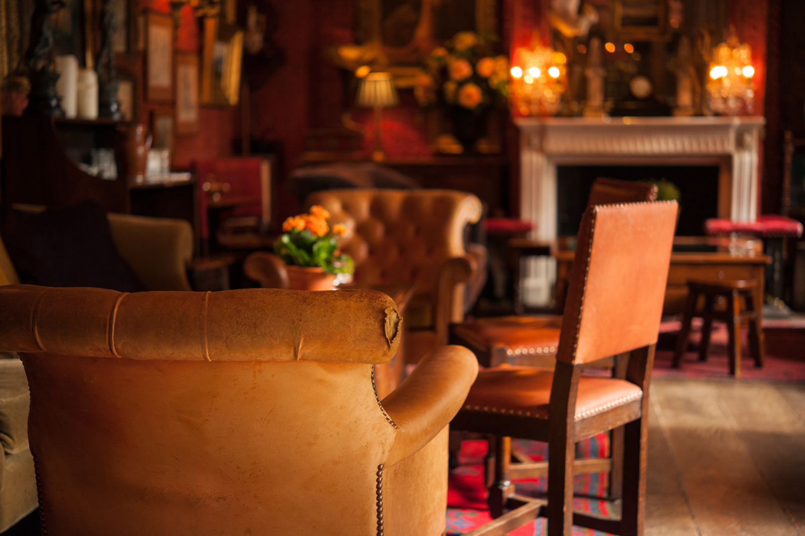 The Whole Venue - nlklsqljt1r.jpg