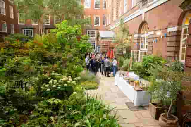 The Garden