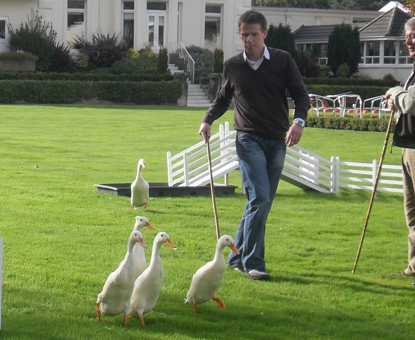 Outdoor team-building activity with ducks at Torintone Suite, Thornton Hall.