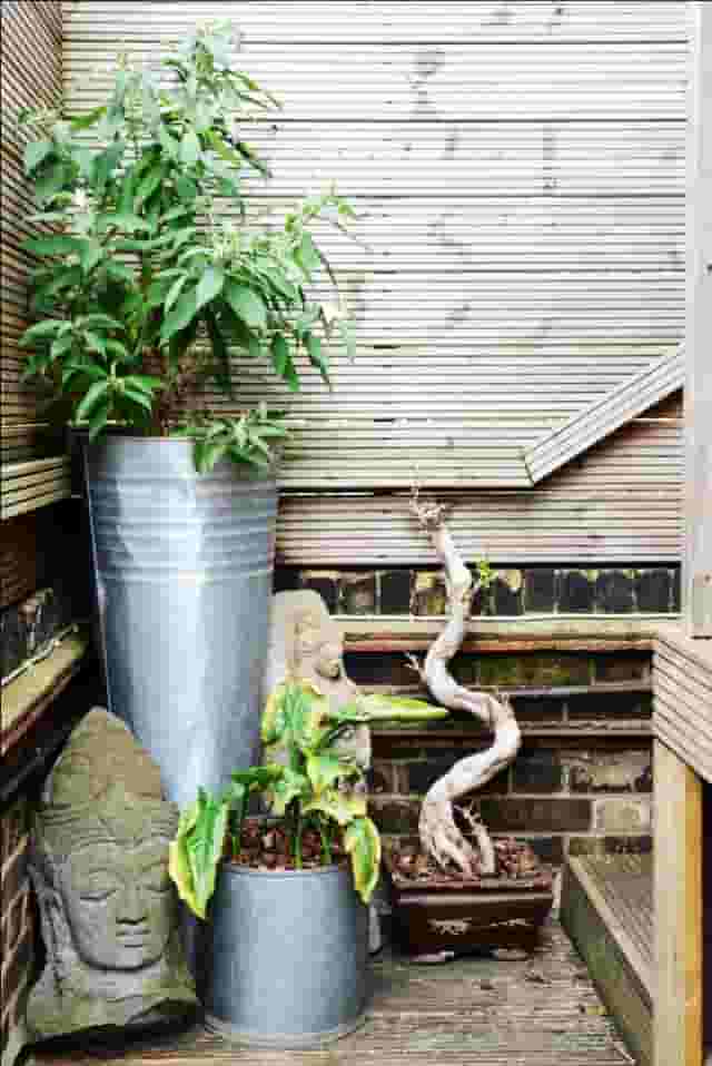 The Terrace Bar & Garden