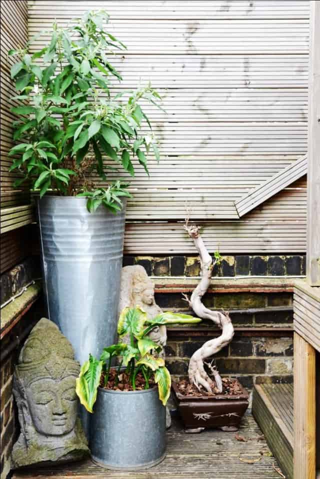 The Terrace Bar & Garden