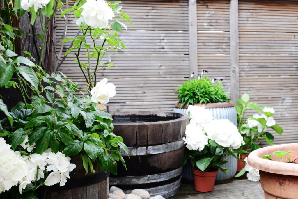 Outdoor event space at The Terrace Bar & Garden with lush greenery and rustic charm.