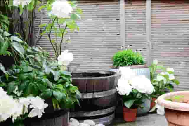 The Terrace Bar & Garden