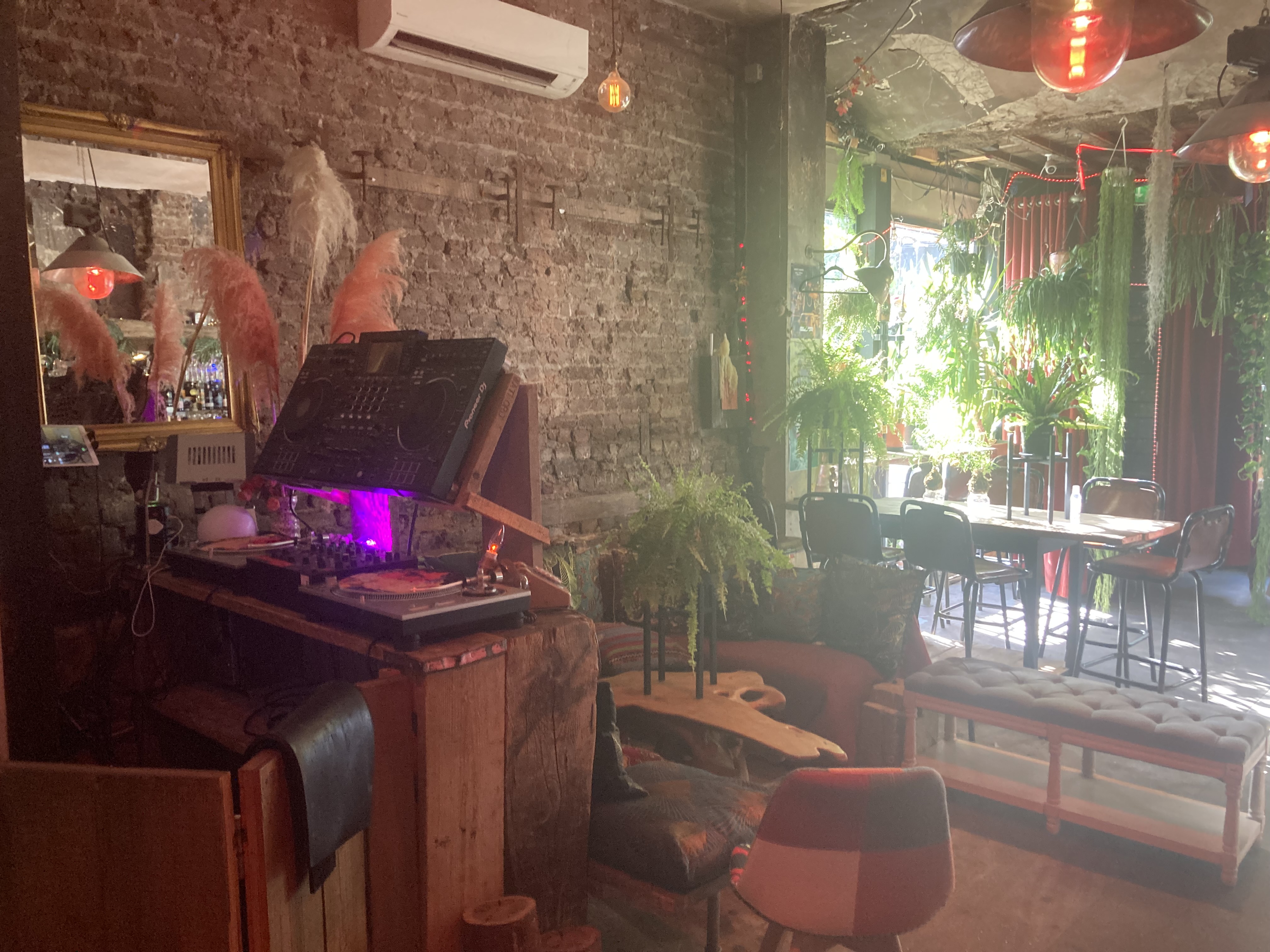 Whole Venue - rwuwyjd4lm4.jpeg