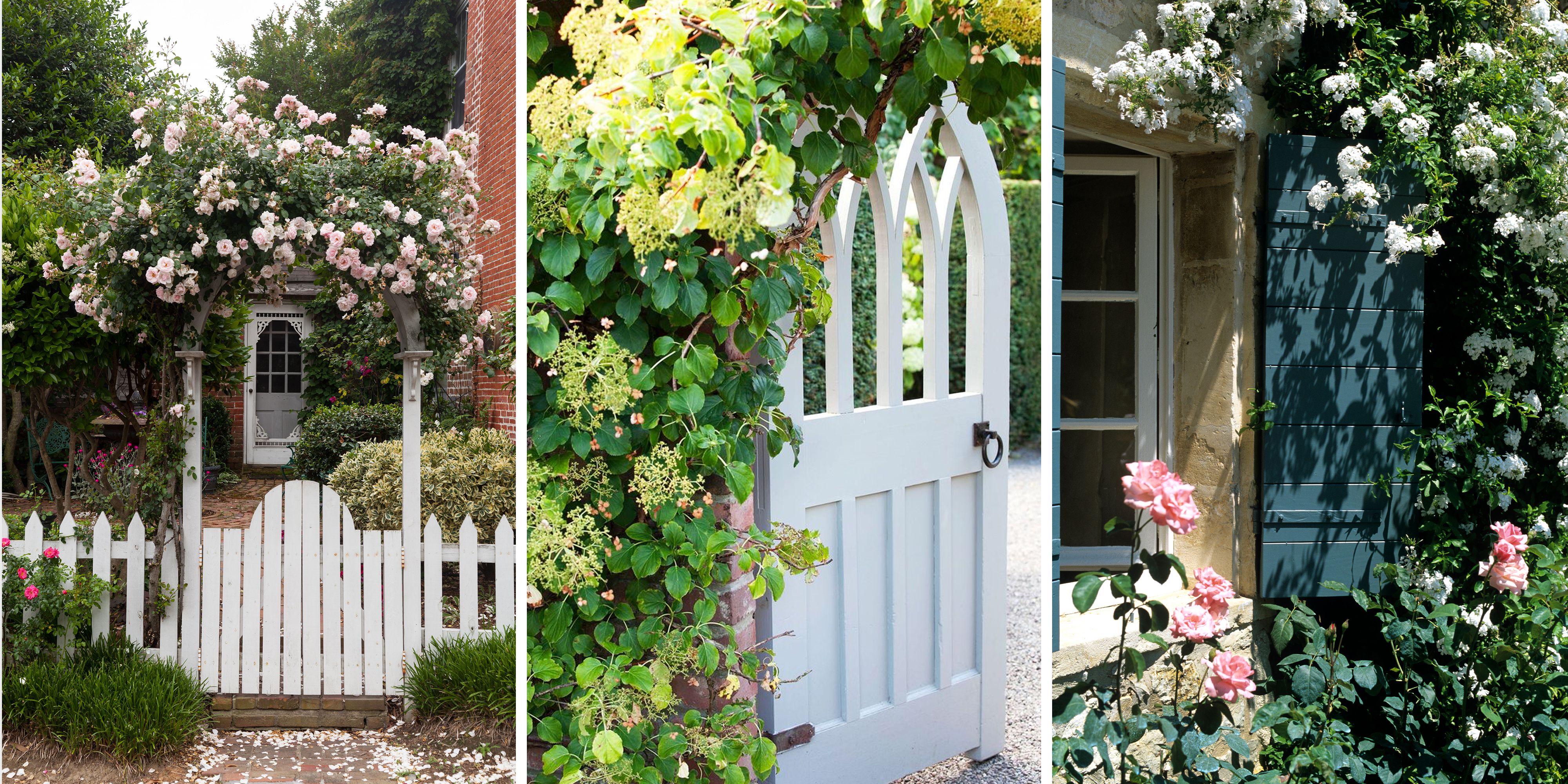 9 Front Garden Ideas To Make Your ...