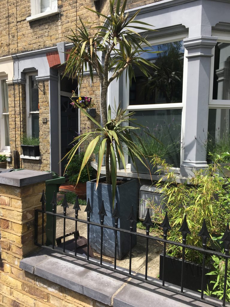 Front garden at The Vine, lush greenery ideal for outdoor events and gatherings.