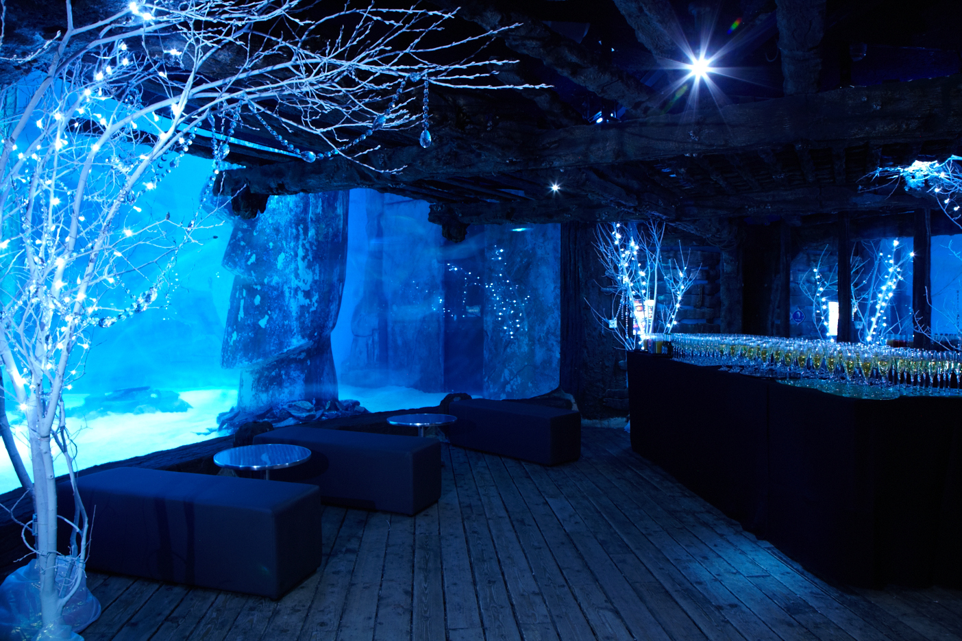 Whole Venue - glfhgbalwkz.jpg