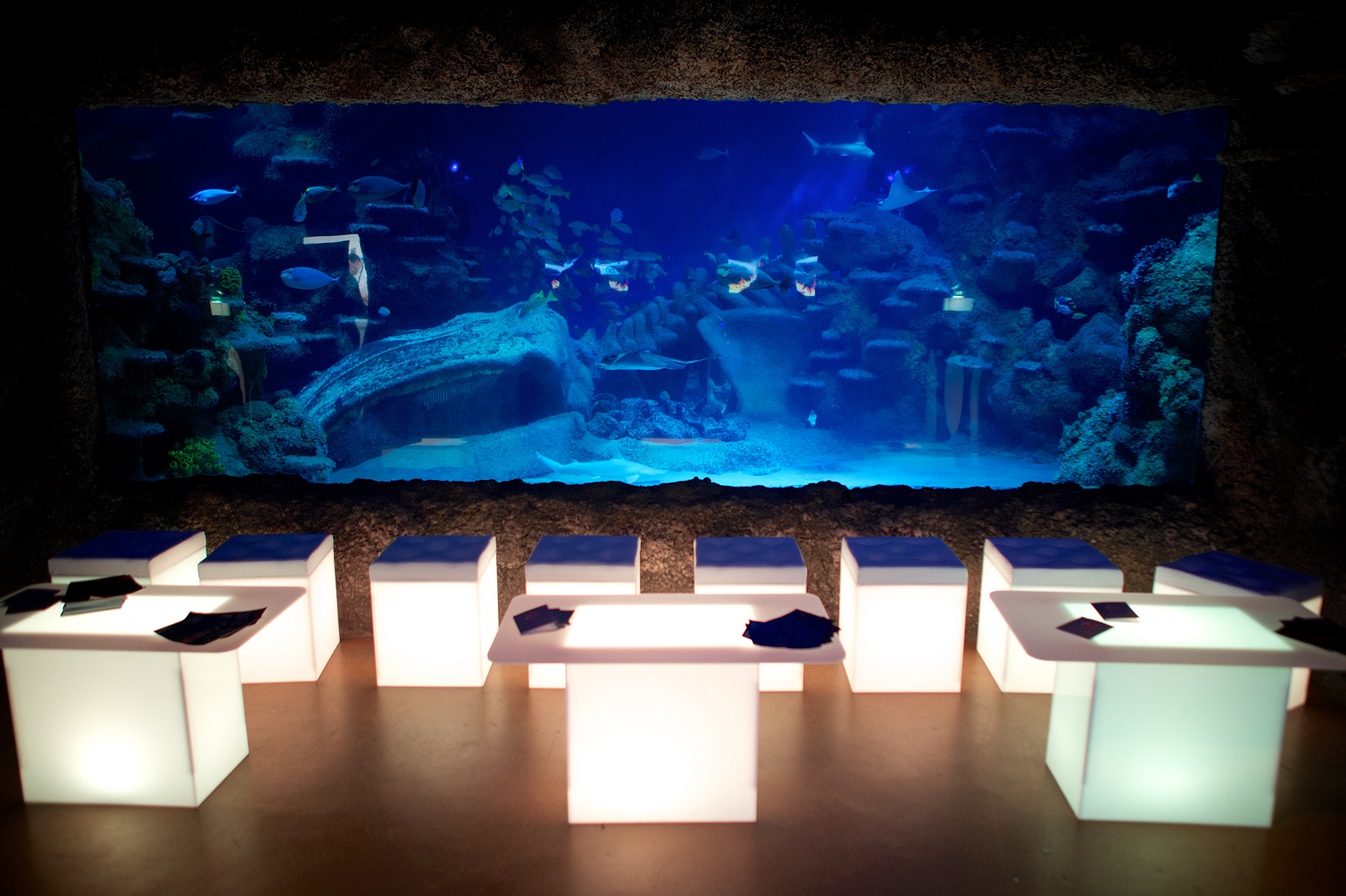 Illuminated tables in SEA LIFE London Aquarium event space for networking and gatherings.