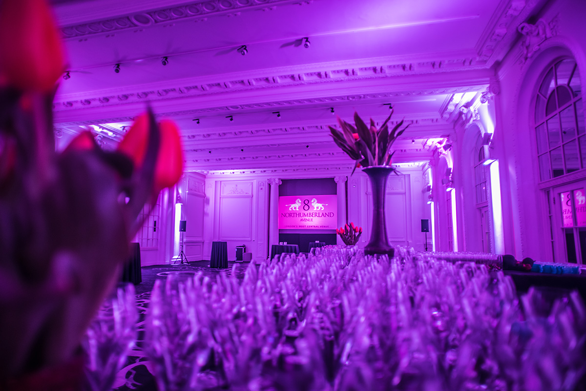 Old Billiard Room & Annex - g5lrsjorxo0.jpg