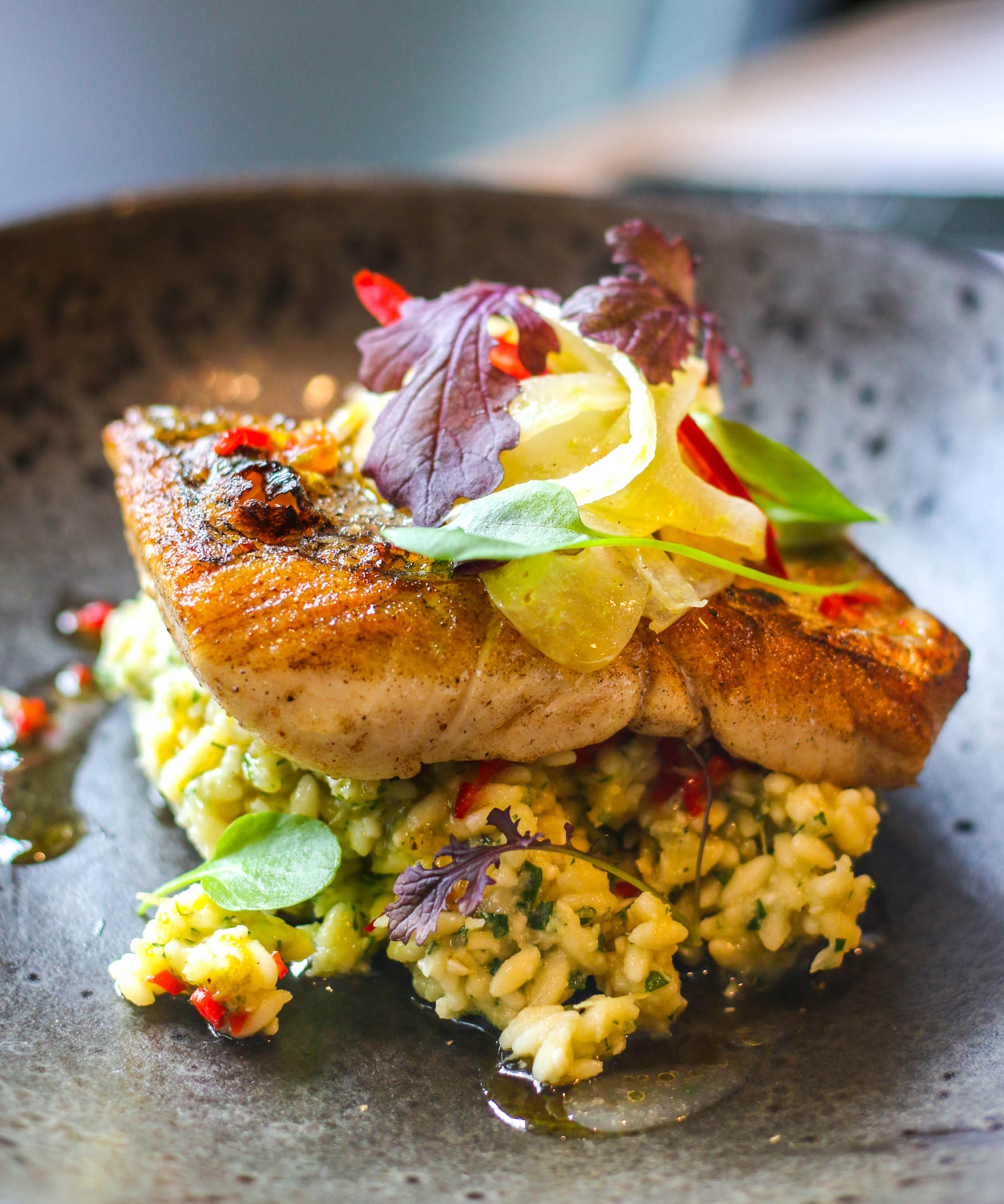 Plated fish with risotto at Opus Restaurant for events and culinary excellence.
