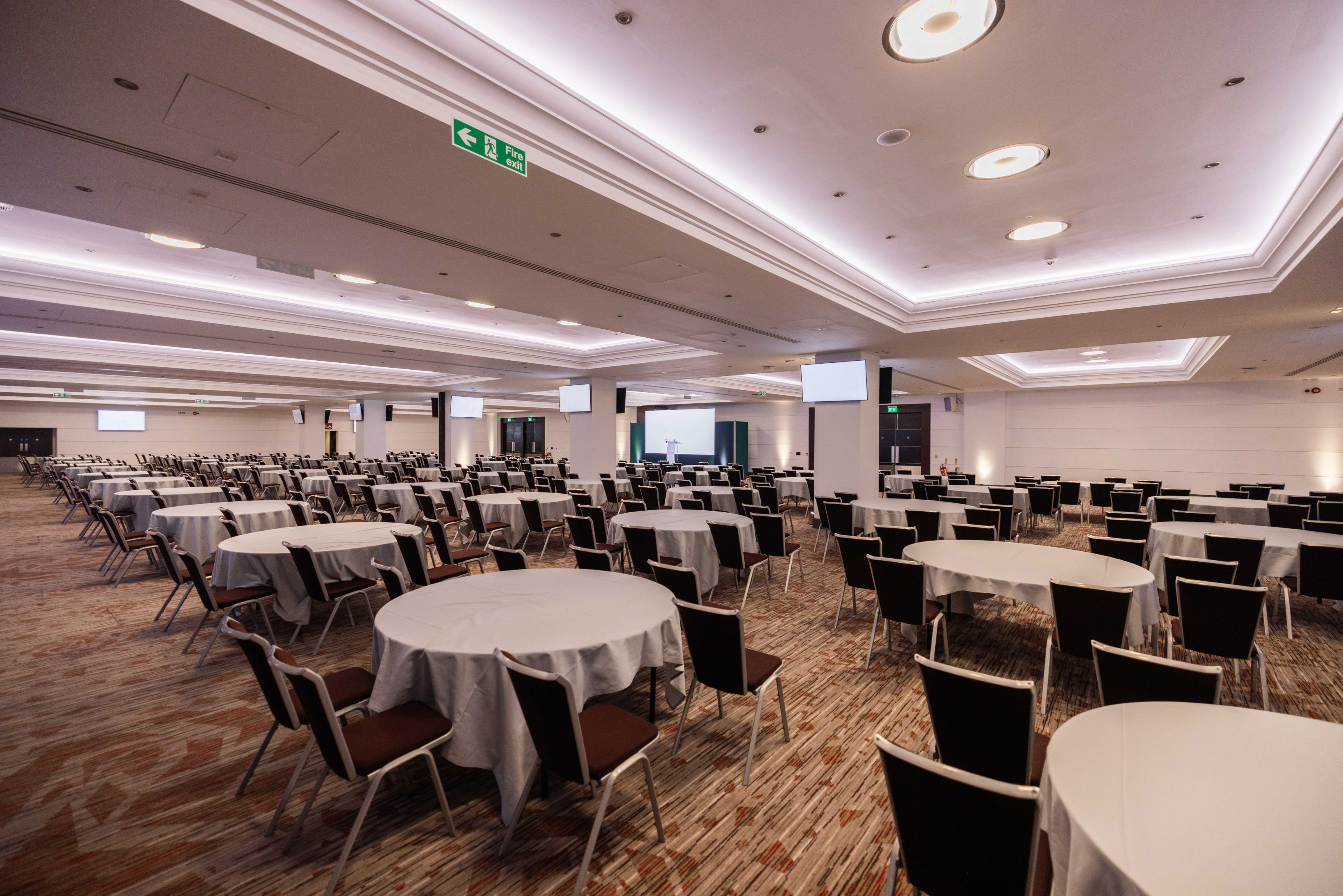 Rose Suite - z3rqckgmo53.jpg