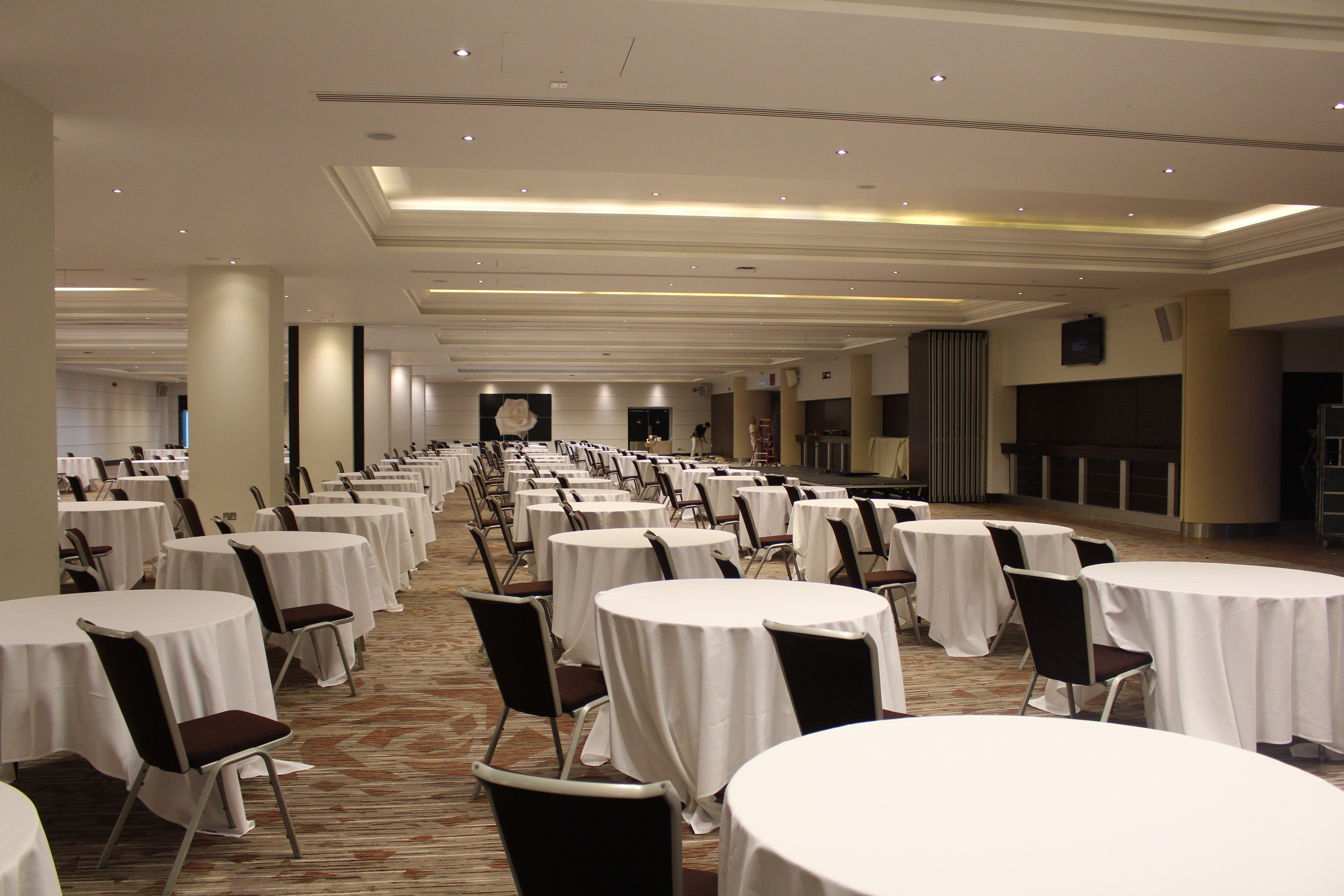 Rose Suite - jhafnqdbeue.JPG