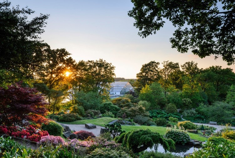 Glasshouse at RHS Garden Wisley, vibrant flowers, ideal for weddings and events.