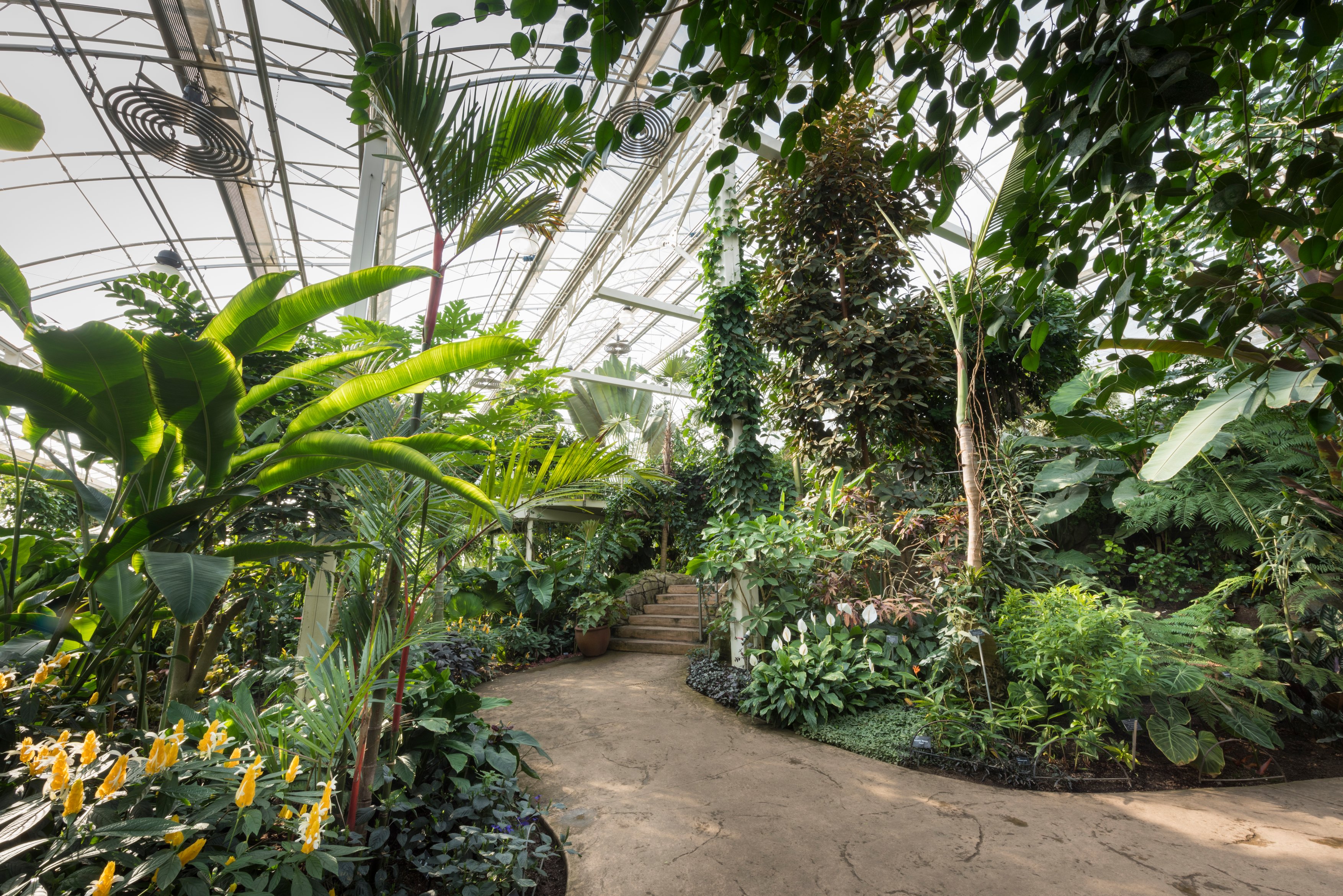 Glasshouse - 5ej3gk3yybb.jpg