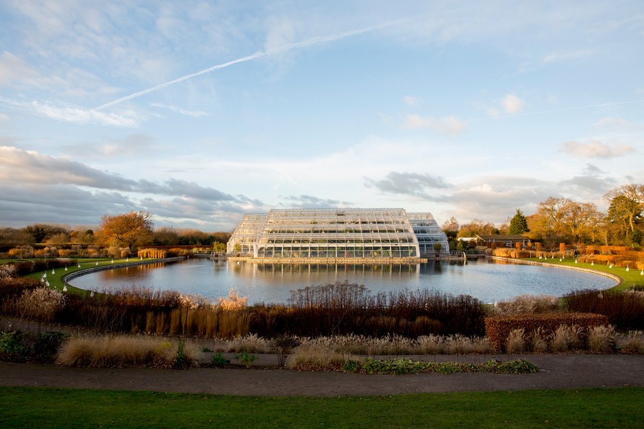 Glasshouse - aspixznajyp.jpg