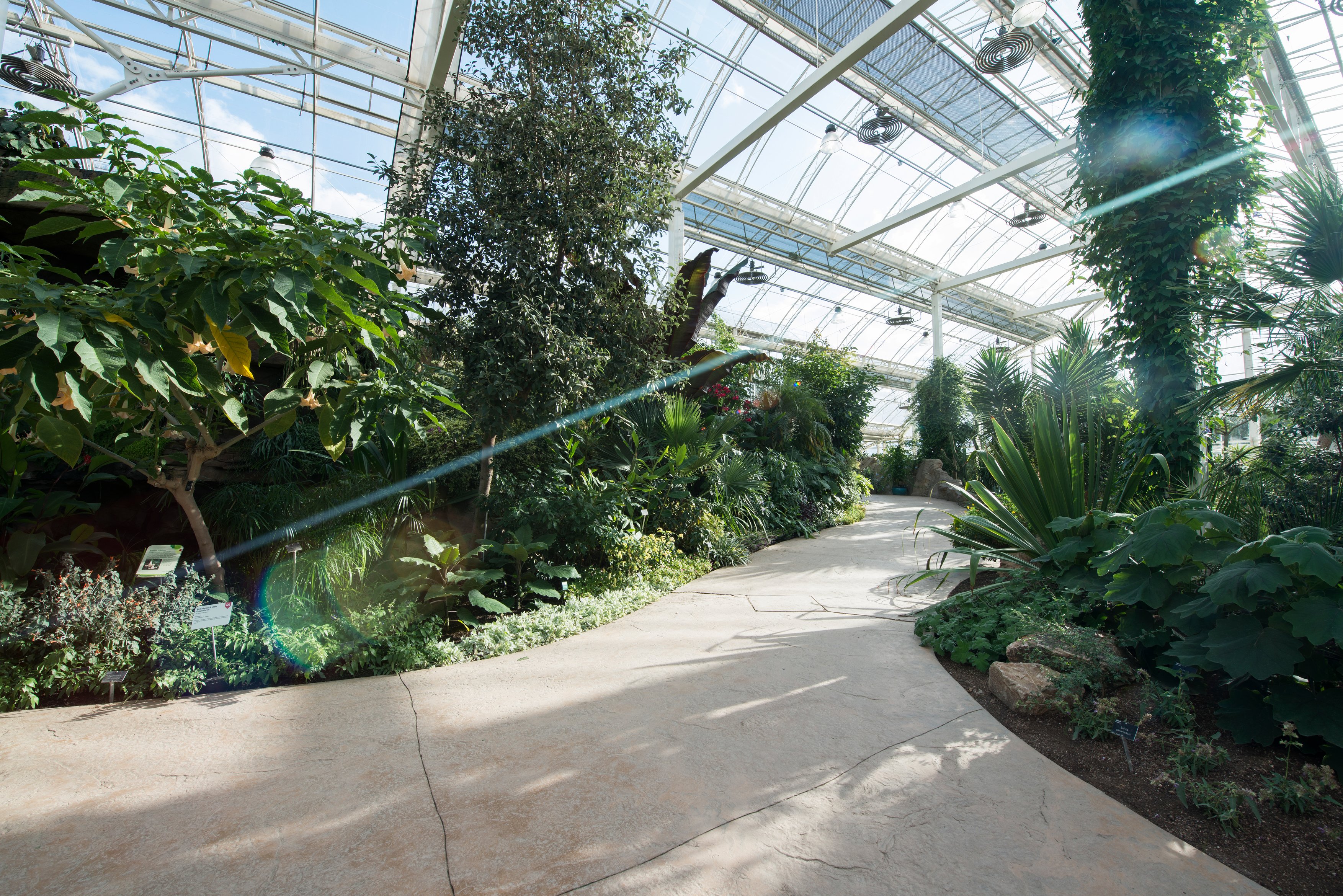 Glasshouse - nurnrdf3a2w.jpg