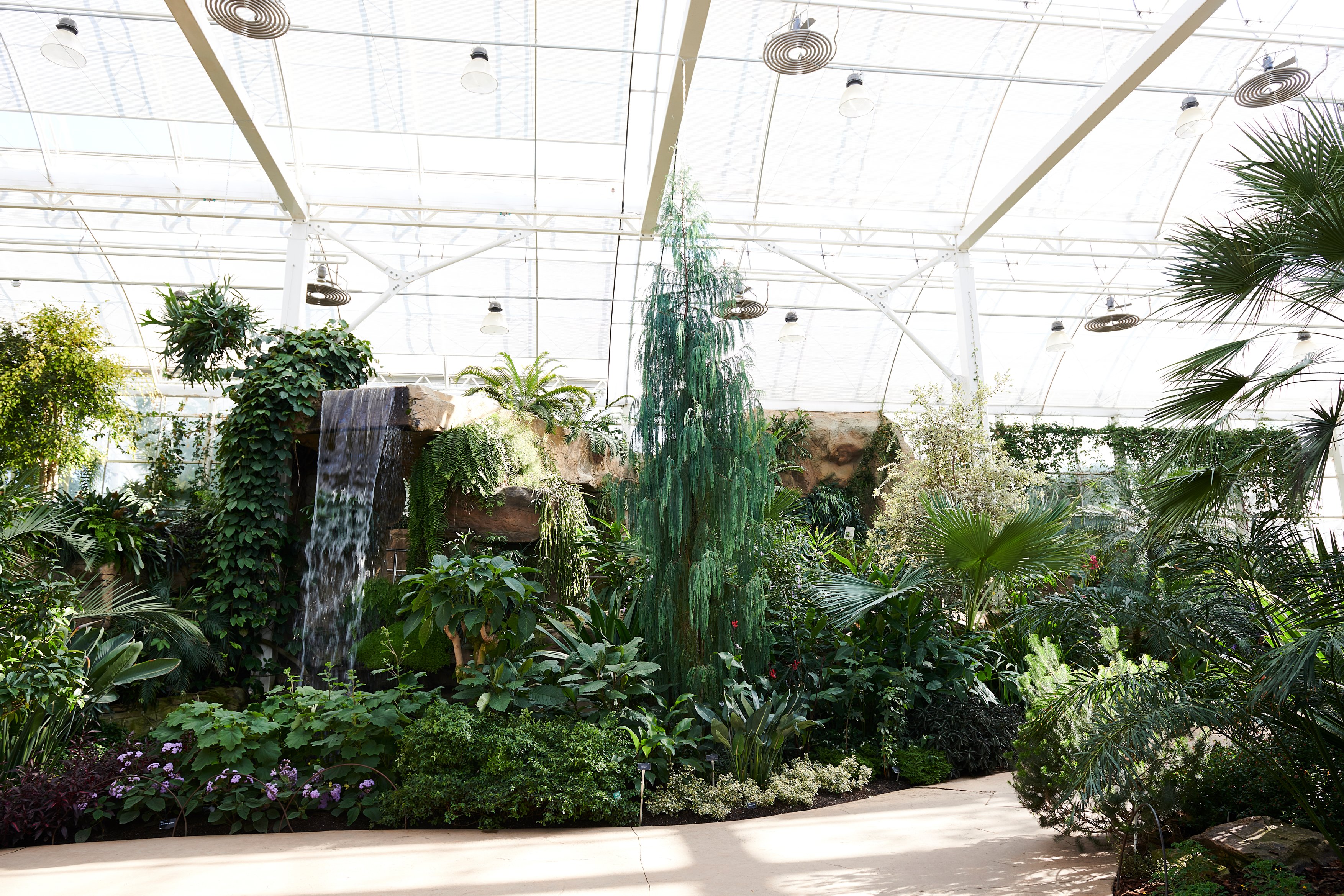 Glasshouse - q0qvej1w4z3.jpg