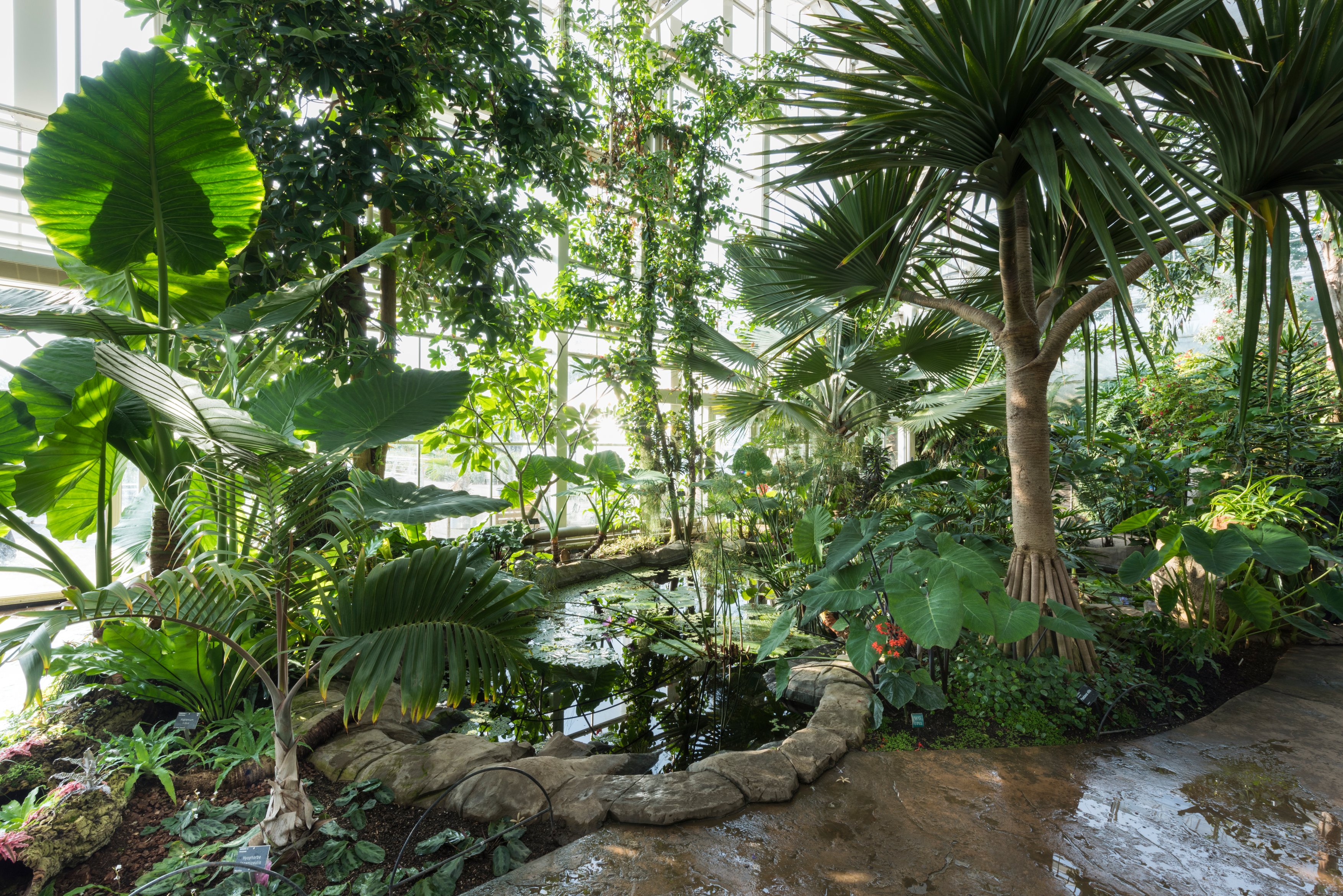 Glasshouse - uimgnzmkw1p.jpg