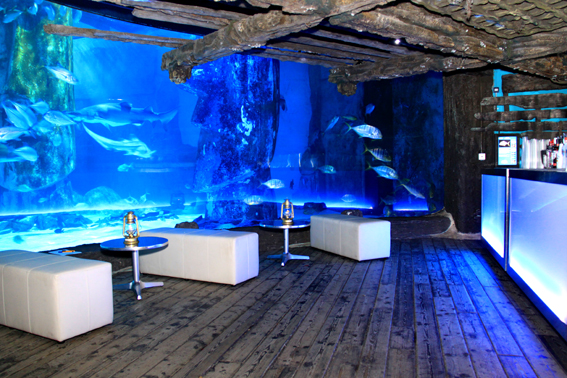 Whole Venue at SEA LIFE London Aquarium with stunning aquarium backdrop for events.