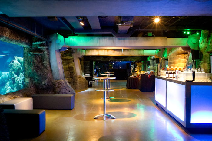 Modern underwater event space at SEA LIFE London Aquarium for corporate functions.